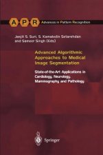 Advanced Algorithmic Approaches to Medical Image Segmentation