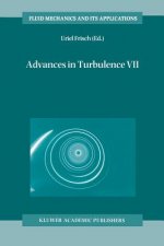 Advances in Turbulence VII