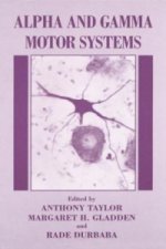 Alpha and Gamma Motor Systems