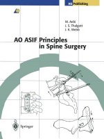 AO ASIF Principles in Spine Surgery