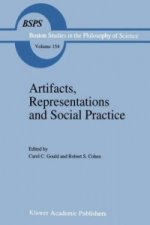 Artifacts, Representations and Social Practice