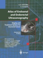 Atlas of Endoanal and Endorectal Ultrasonography