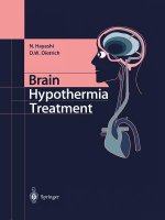 Brain Hypothermia Treatment