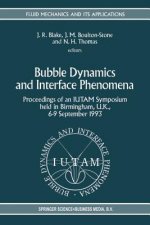 Bubble Dynamics and Interface Phenomena