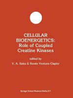 Cellular Bioenergetics: Role of Coupled Creatine Kinases