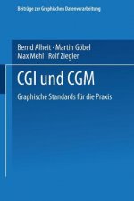 CGI Und Cgm