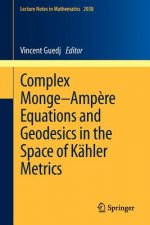 Complex Monge-ampere Equations and Geodesics in the Space of Kahler Metrics