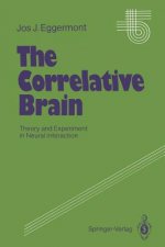 Correlative Brain