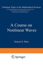 Course on Nonlinear Waves