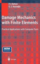 Damage Mechanics with Finite Elements