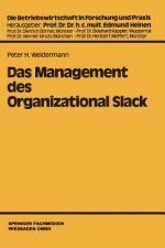 Management Des Organizational Slack