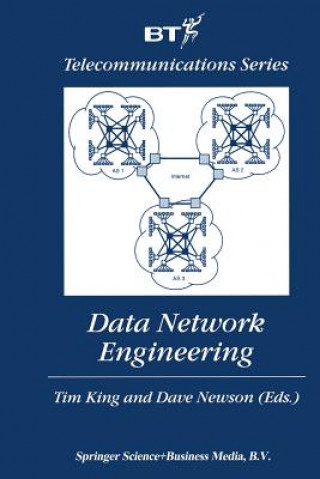 Data Network Engineering