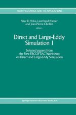 Direct and Large-Eddy Simulation I