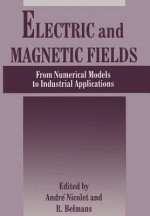 Electric and Magnetic Fields