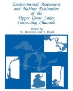 Environmental Assessment and Habitat Evaluation of the Upper Great Lakes Connecting Channels