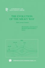 Evolution of The Milky Way