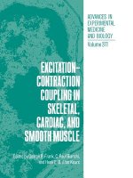 Excitation-Contraction Coupling in Skeletal, Cardiac, and Smooth Muscle