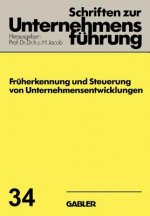 Fruherkennung Und Steuerung Von Unternehmensentwicklungen