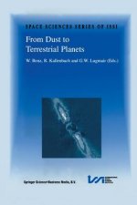 From Dust to Terrestrial Planets