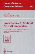 From Natural to Artificial Neural Computation