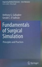 Fundamentals of Surgical Simulation