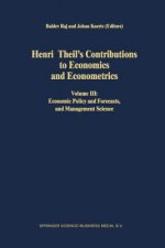 Henri Theil's Contributions to Economics and Econometrics