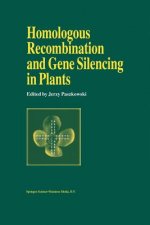 Homologous Recombination and Gene Silencing in Plants