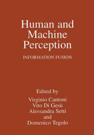 Human and Machine Perception
