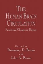 Human Brain Circulation