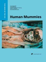 Human Mummies