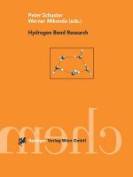 Hydrogen Bond Research