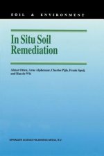 In Situ Soil Remediation