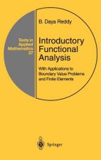 Introductory Functional Analysis