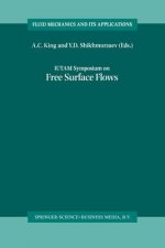 IUTAM Symposium on Free Surface Flows