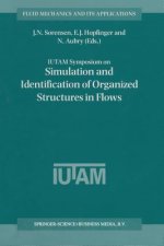 IUTAM Symposium on Simulation and Identification of Organized Structures in Flows