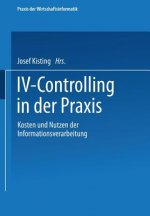 IV-Controlling in Der Praxis