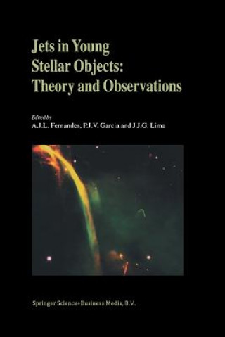 Jets in Young Stellar Objects