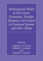 Mathematical Models of Non-Linear Excitations, Transfer, Dynamics, and Control in Condensed Systems and Other Media