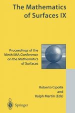 Mathematics of Surfaces IX
