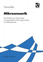 Mikrosensorik