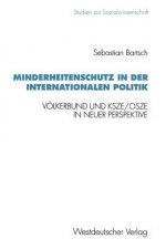 Minderheitenschutz in Der Internationalen Politik
