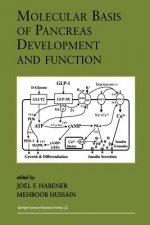 Molecular Basis of Pancreas Development and Function