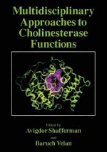 Multidisciplinary Approaches to Cholinesterase Functions