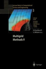 Multigrid Methods V