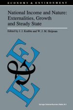 National Income and Nature: Externalities, Growth and Steady State