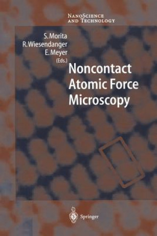 Noncontact Atomic Force Microscopy