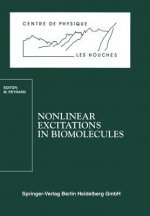 Nonlinear Excitations in Biomolecules