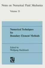 Numerical Techniques for Boundary Element Methods