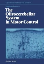 Olivocerebellar System in Motor Control