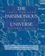 Parsimonious Universe